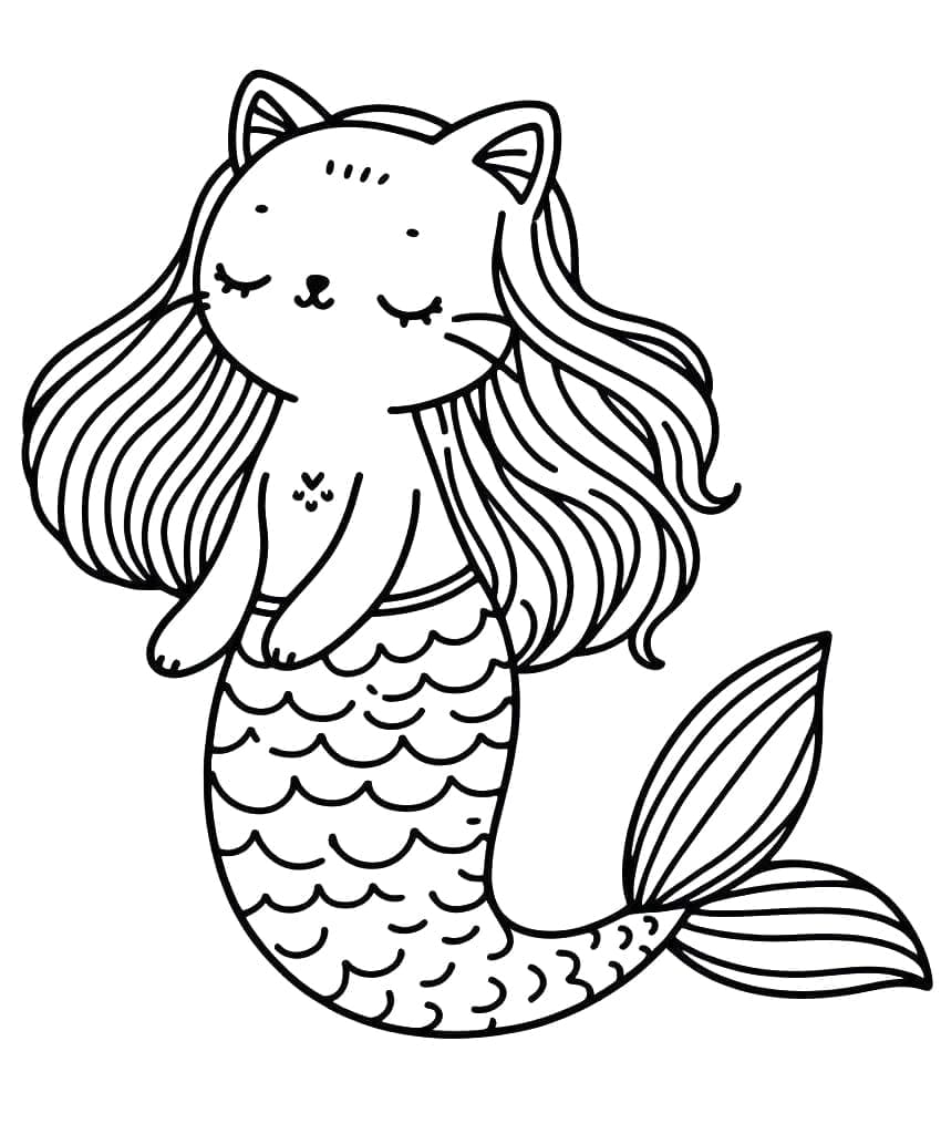Chat Sirène 13